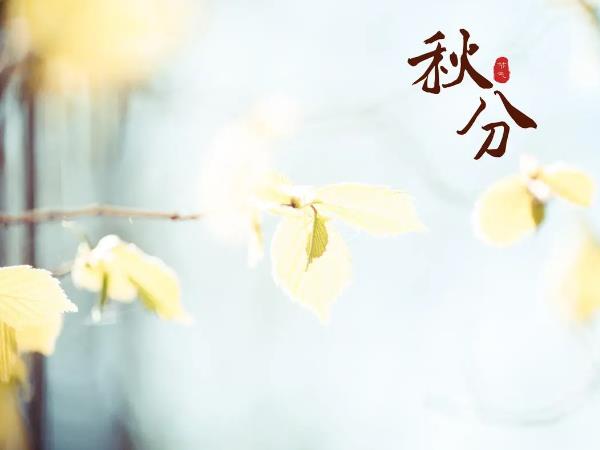 秋分吃什么?