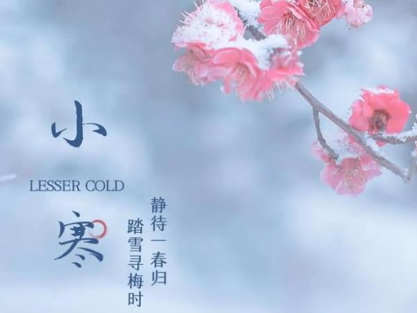 小寒养生食谱,小寒养生吃什么?