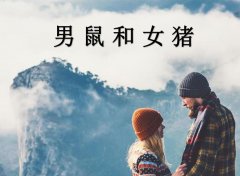 男鼠和女猪配吗