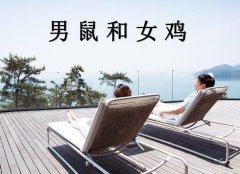 男鼠和女鸡配吗