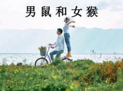 男鼠和女猴配吗