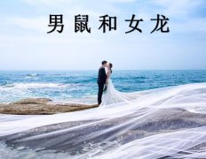 男鼠和女龙配吗