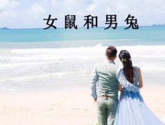 女鼠和男兔配吗