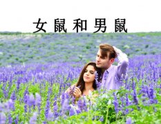 <b>女鼠和男鼠配吗</b>