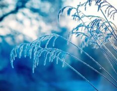 星座2023年6月25日到7月1日一周运势