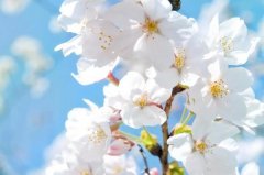 星座2023年7月16日到22日一周运势