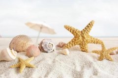 星座2023年7月23日到29日一周运势