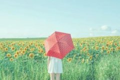 苏珊米勒2023年8月金牛座运势