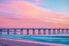 苏珊米勒2023年8月巨蟹座运势