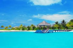 苏珊米勒2023年8月双鱼座运势