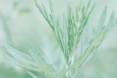 星座2023年8月6日到12日一周运势