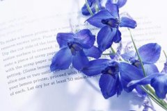 星座2023年8月13日到19日一周运势