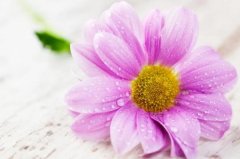 星座2023年8月20日到26日一周运势