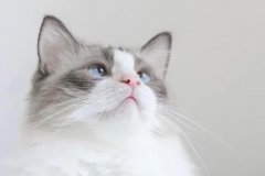 星座2023年8月27日到9月2日一周运势