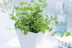 苏珊米勒2023年9月天蝎座运势