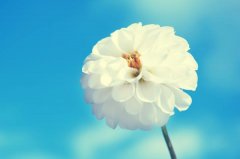 苏珊米勒2023年9月水瓶座运势