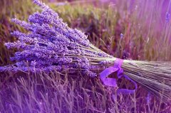 星座2023年10月8日到14日一周运势