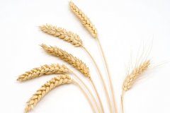 星座2023年10月23日到29日一周运势