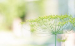 星座2023年11月13日到19日一周运势