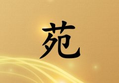 姓苑女孩起名五行属金两个字名字_姓苑女孩属金100分两个字名字