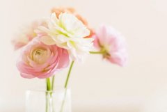 星座2023年11月27日到12月3日一周运势