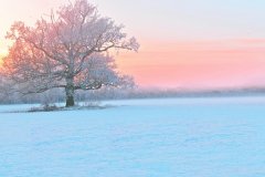 星座2023年12月25日到31日一周运势