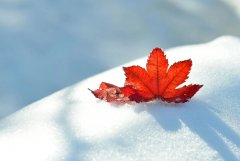 星座2024年1月1日到7日一周运势