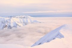 星座2024年1月29日到2月4日一周运势