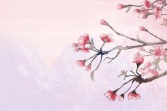 苏珊米勒2024年2月巨蟹座运势