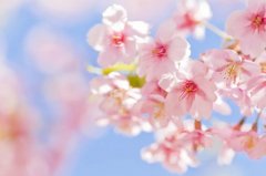 星座2024年2月19日到25日一周运势