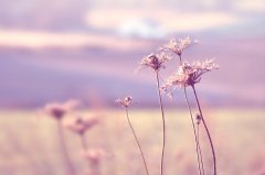 星座2024年2月26日到3月3日一周运势