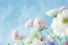 苏珊米勒2024年3月水瓶座运势