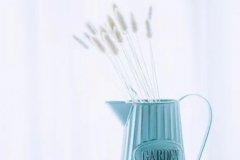 苏珊米勒2024年3月摩羯座运势