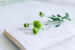 星座2024年4月1日到7日一周运势