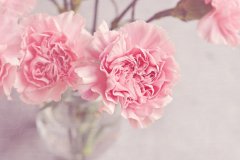 星座2024年4月8日到14日一周运势