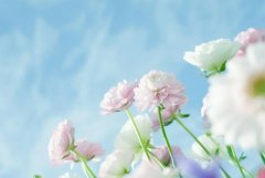 星座2024年4月29日到5月5日一周运势