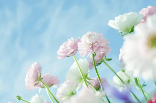 星座2024年5月27日到6月2日一周运势