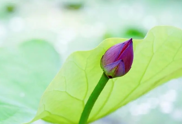 星座2024年6月3日到9日一周运势