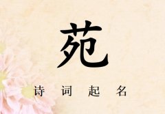 姓苑女孩诗词起名200例_诗经诗词给姓苑女孩起名