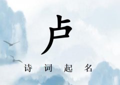 姓卢女孩诗词起名200例_诗经诗词给姓卢女孩起名