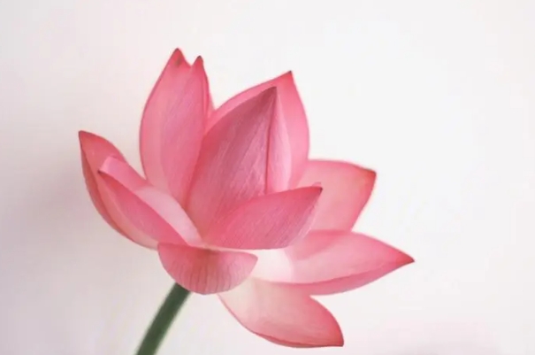 星座2024年7月1日到7日一周运势