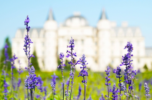 星座2024年7月15日到21日一周运势