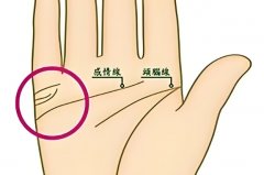 感情线与智慧线交叉