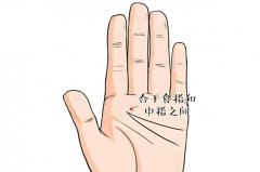 能嫁有钱人的手相特征