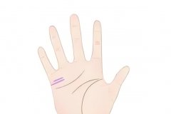 能麻雀变凤凰的手相