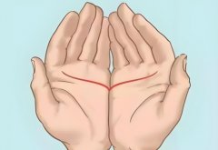 手相看你是不是感情赢家