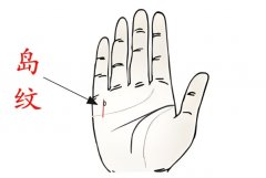 最不缺钱花的手相