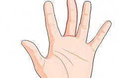 从手指长短看你的运势