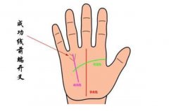 手相如何看成功线