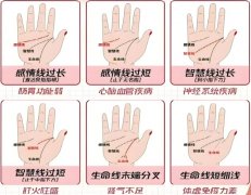 掌纹看你的健康状况